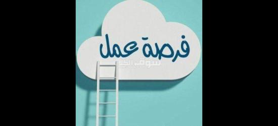 بناء دخل اضافي عبر الانترنت 🤩