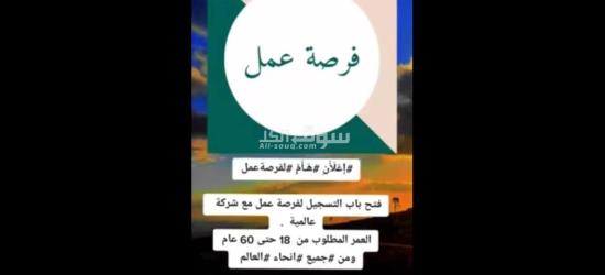 فرصة عمل من المنزل