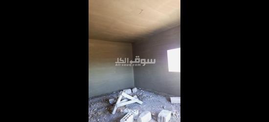 حمص البياضه - 4